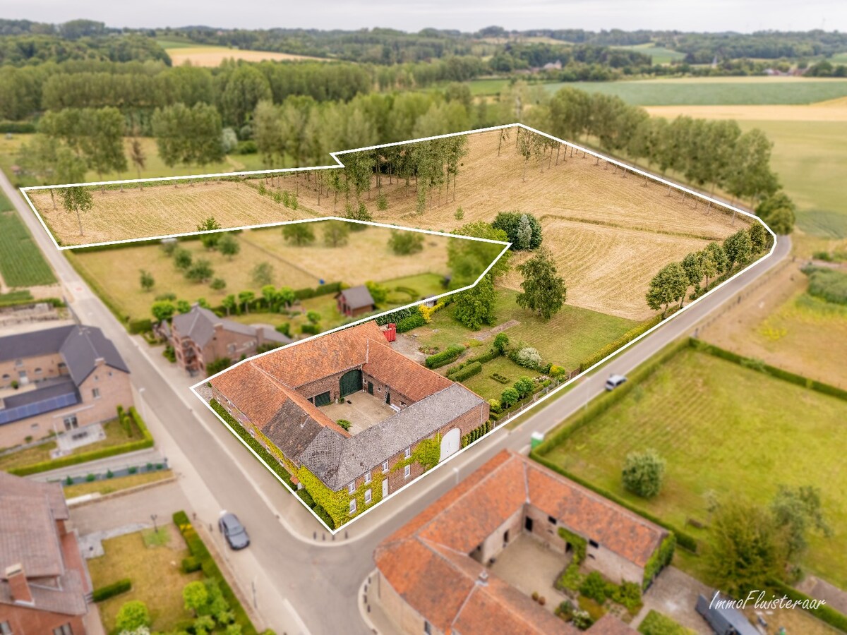Charmante vierkantshoeve met veel potentieel op ca. 3,14 ha te Tongeren 