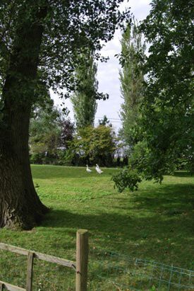 Ferme vendu À Leisele