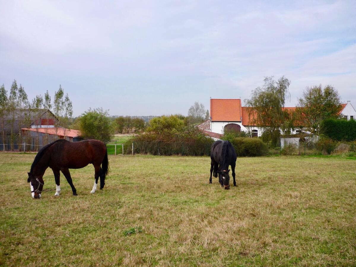 Idyllische hoeve met 7 paardenstallen op ca. 2,25 Ha te Klerken (Houthulst) 