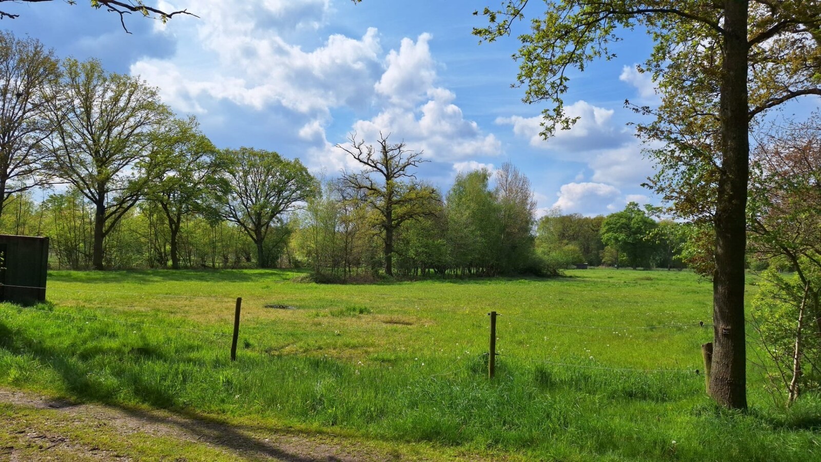 Prairie a vendre À Maaseik