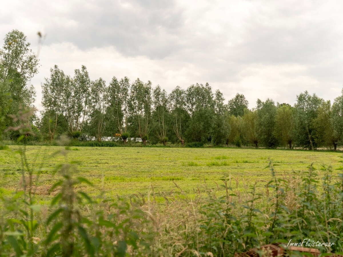 Ruime woning met stalgebouw en weide op ca. 1,1 ha te Wuustwezel 