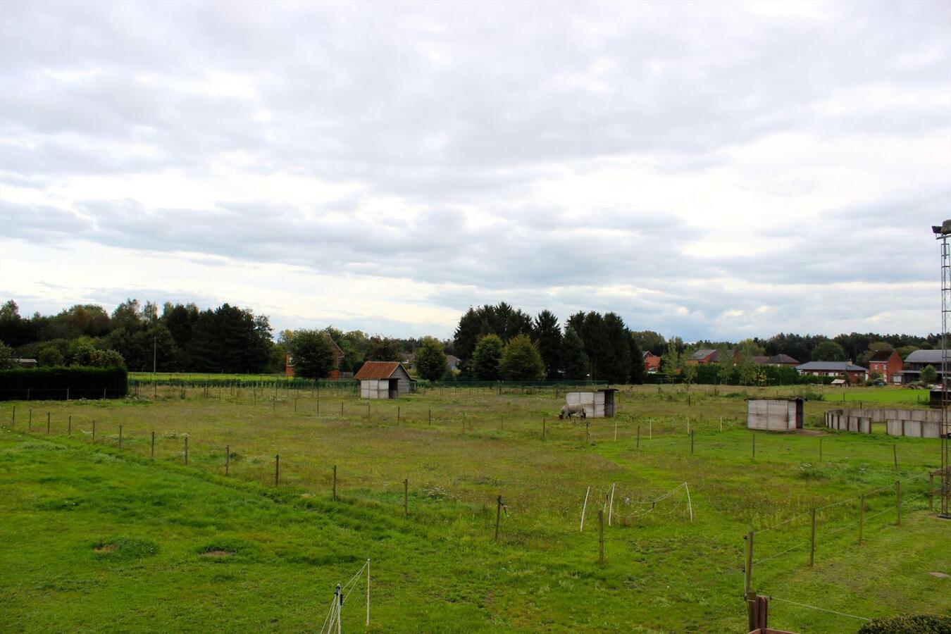 Woning met stallen en buitenpiste op ca. 8000m&#178;  te Langdorp 