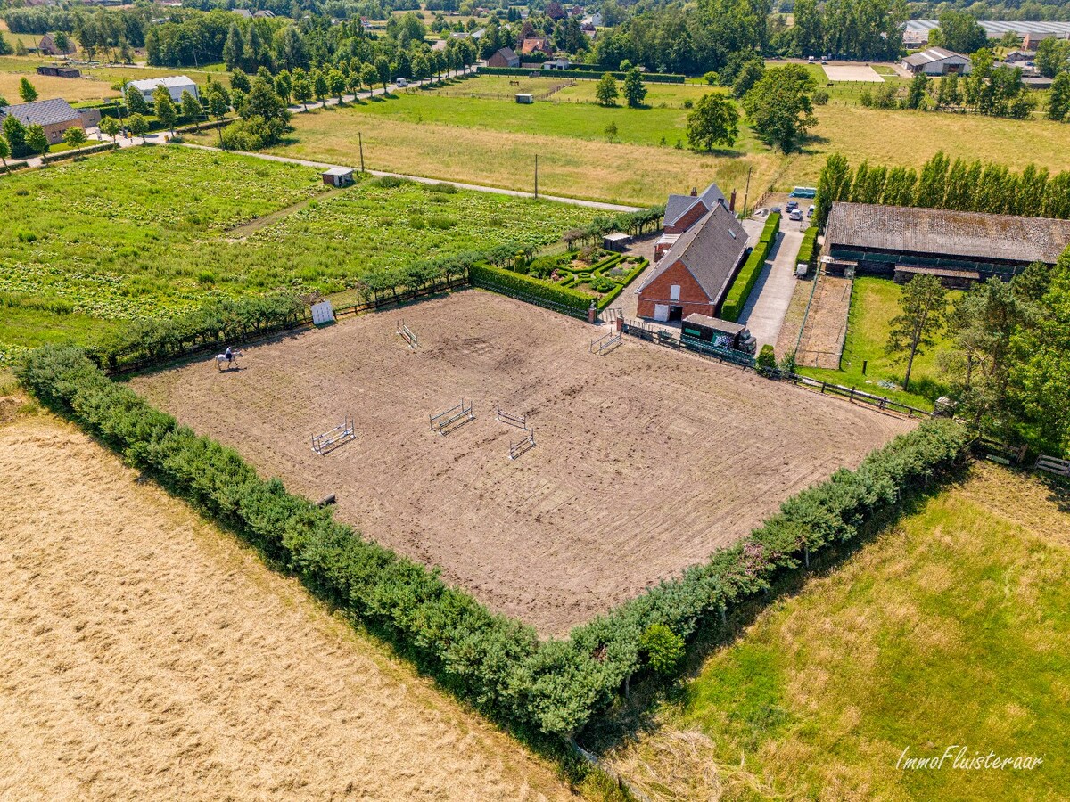 Paardenaccommodatie met woning op ca. 80a te Duffel (Optioneel bij te kopen weilanden van ca. 3 ha) 