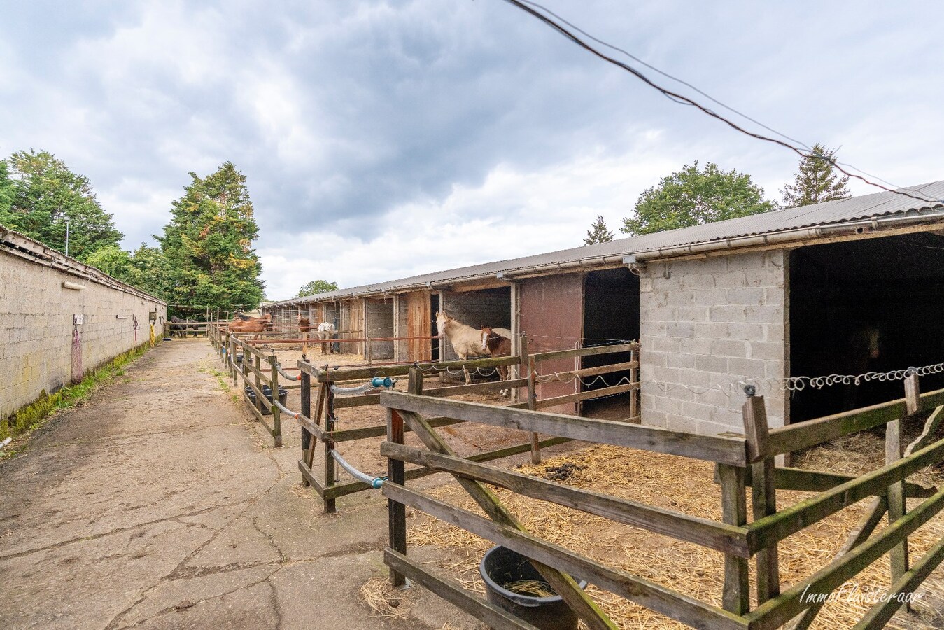 Paardenaccommodatie met 46 stallen, buitenpiste en hangaar op ca. 55 are te Linkhout (Lummen) 