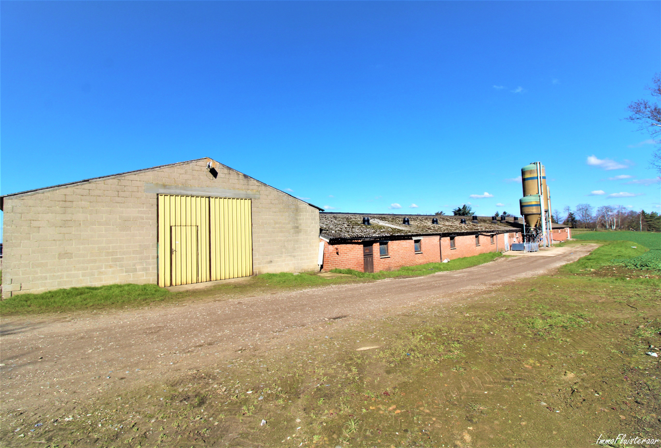 Te renoveren boerderij met hoevewoning, loods, stalgebouwen en weiland op ca. 1,61ha te Scherpenheuvel-Zichem (Vlaams-Brabant) 