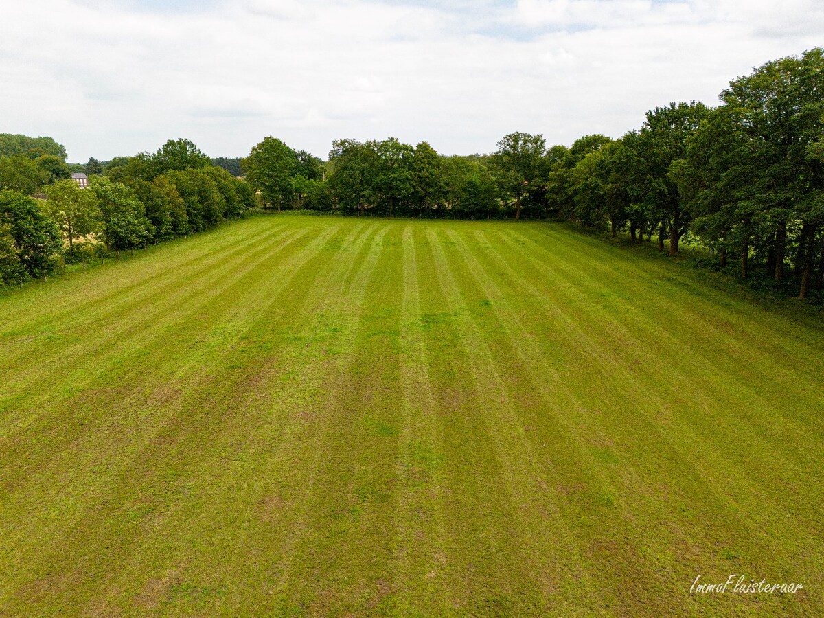 Ruime woning met stalgebouw en weides op ca. 3,8 ha te Berlaar 