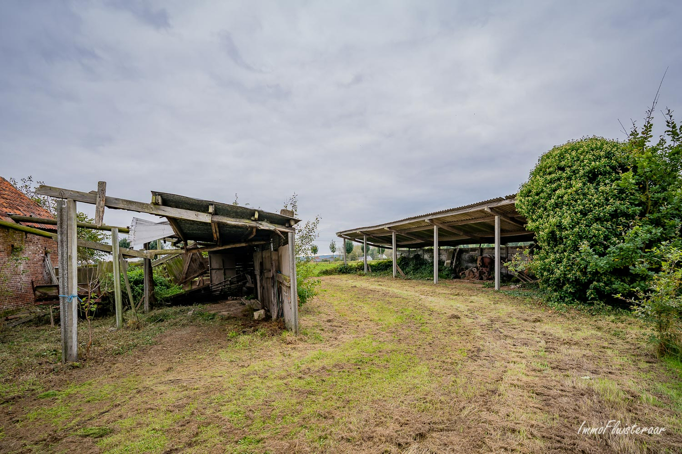 Farm sold in Rotselaar