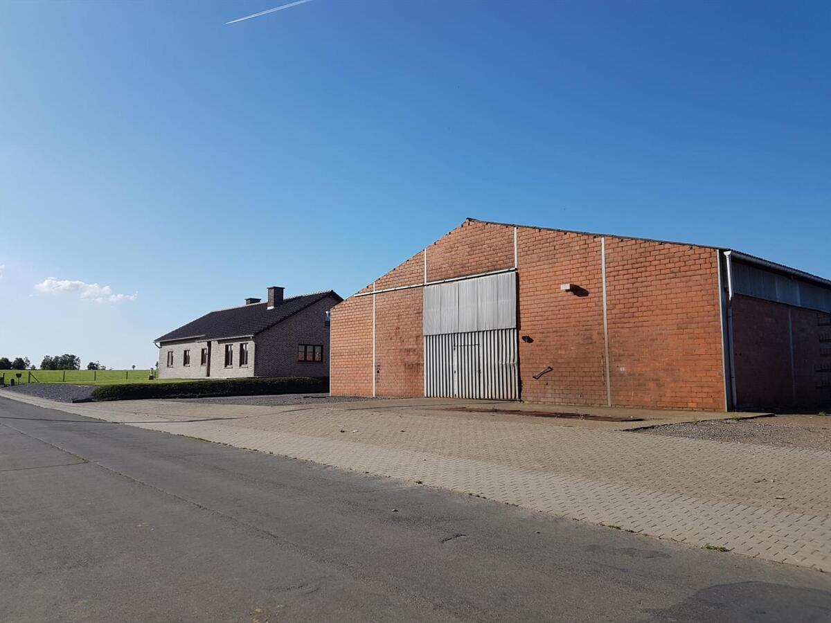 Degelijke woning met grote stalgebouwen op ca. 2ha te Gutschoven (Heers) 