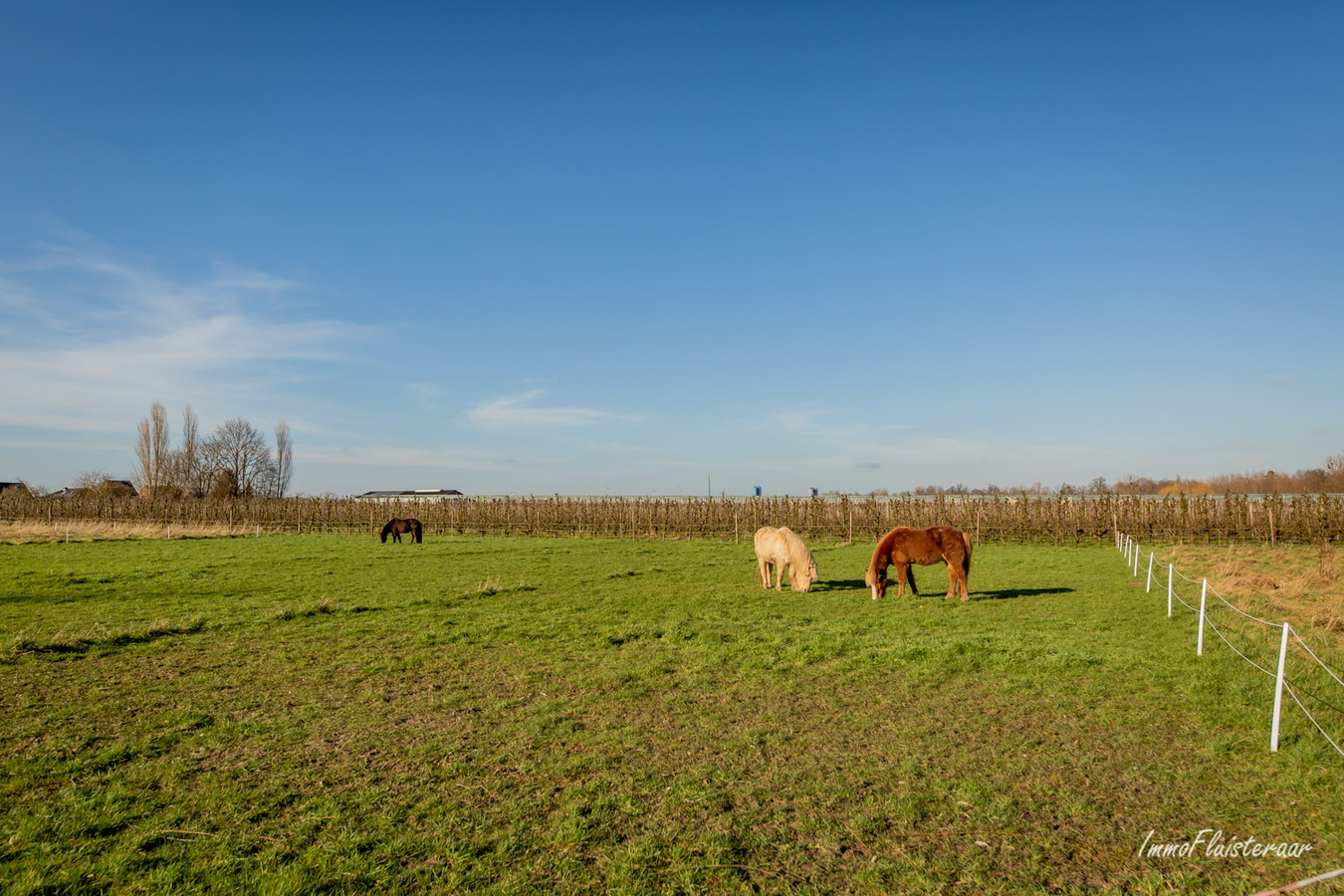 Deels gerenoveerde woning met stalgebouw en weiland op ca. 1,8ha te Kortenaken (Vlaams-Brabant) 