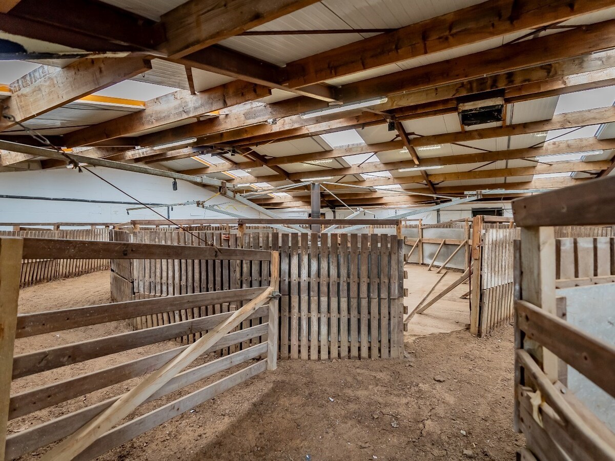 Villa moderne avec des installations &#233;questres sur environ 5,2 hectares &#224; Herselt. 