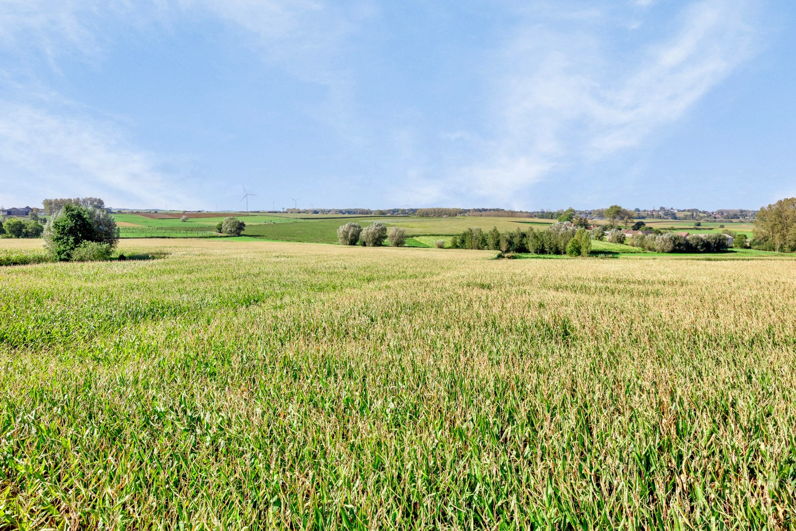 Terrain &#224; b&#226;tir pour maison mitoyenne de 4a 97ca avec vue imprenable 