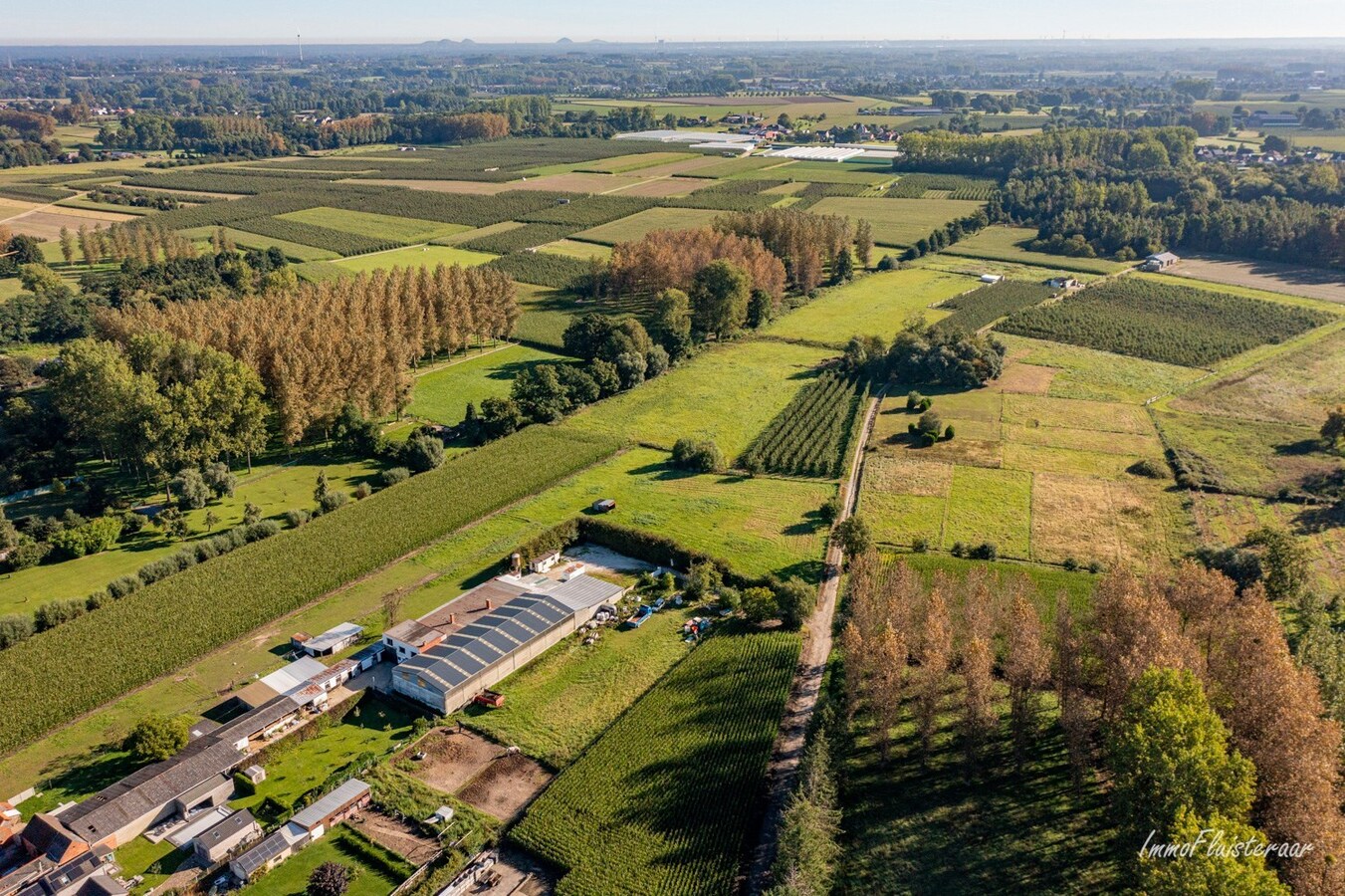 Paardenaccommodatie met binnenpiste op ca. 6ha te Wellen 