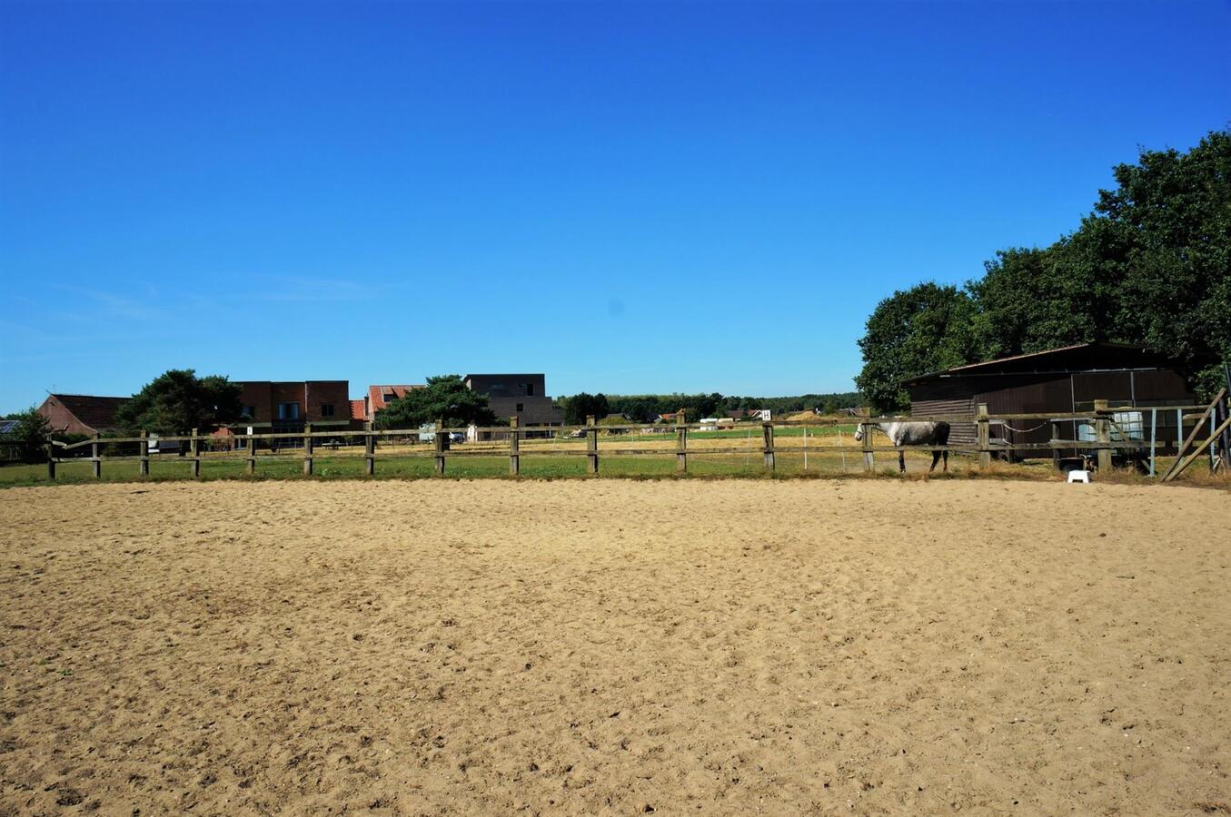 Recente woning op magnifieke locatie met 3 paardenstallen, buitenpiste en weides op ca. 96are te Opoeteren 