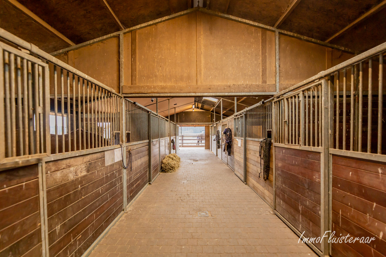 Charmante woning met paardenaccommodatie op 3,7ha te Rijkevorsel 