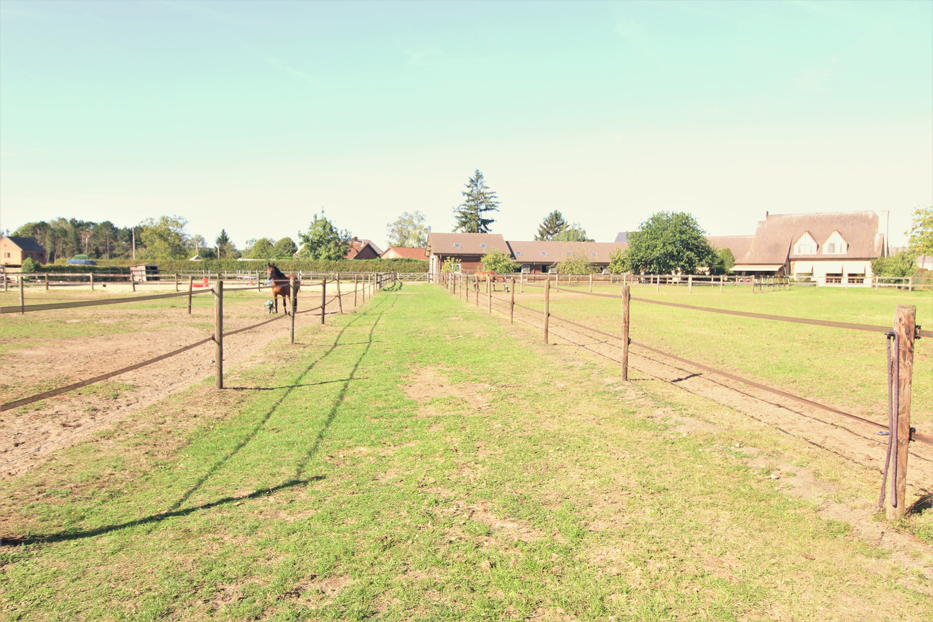 IN OPTIE - Uitzonderlijk charmante villa met paardenaccommodatie en weilanden op ca. 1,53ha te Keerbergen (Vlaams-Brabant) 