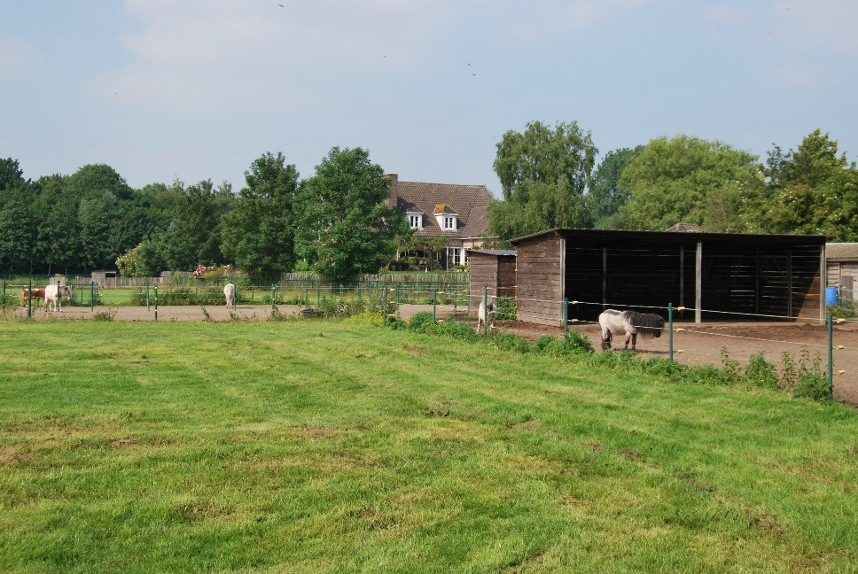 Villa op ca. 1,3ha aan de Leie te Petegem-aan-de-Leie 