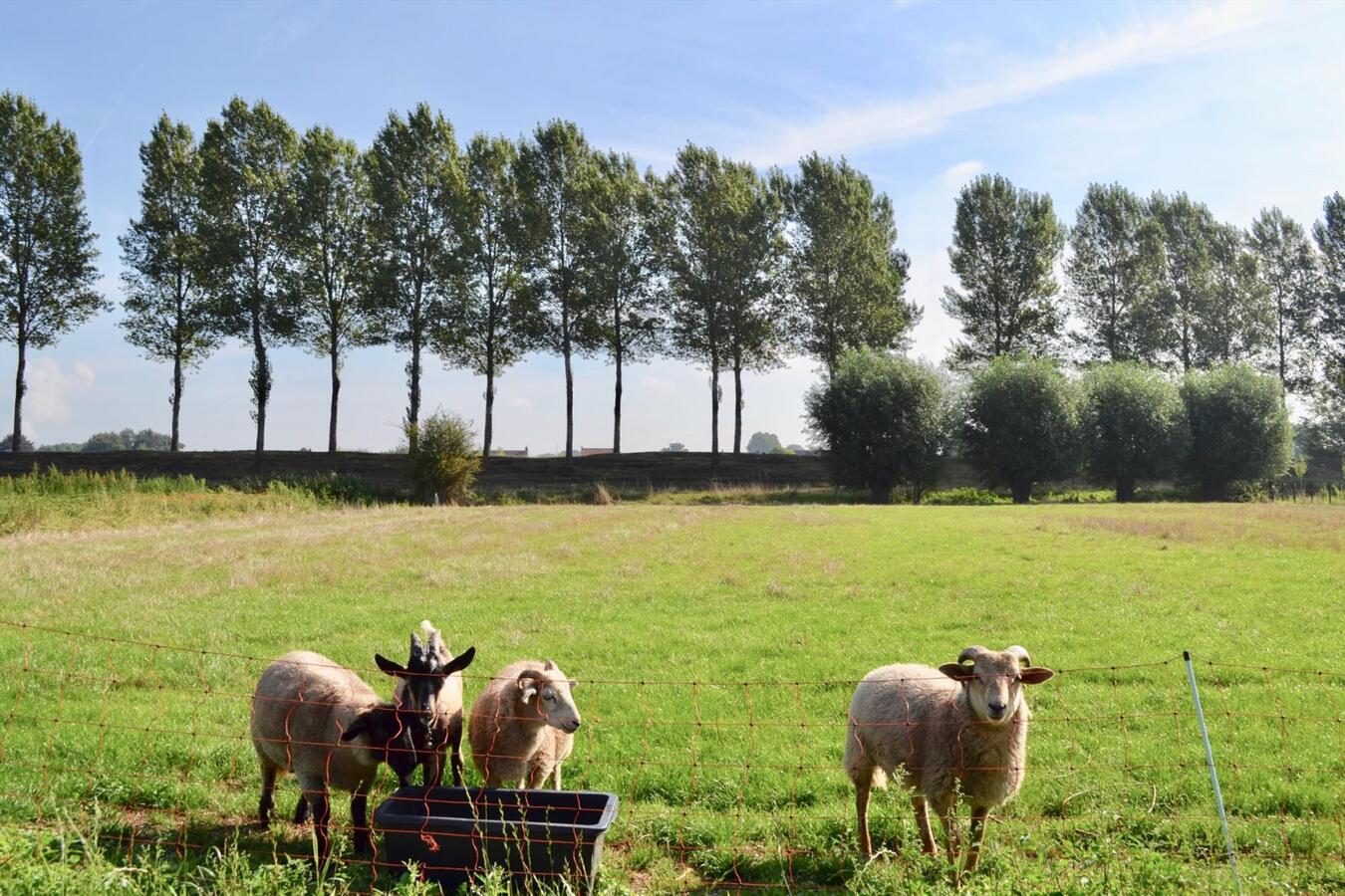 Farm sold in Meerdonk