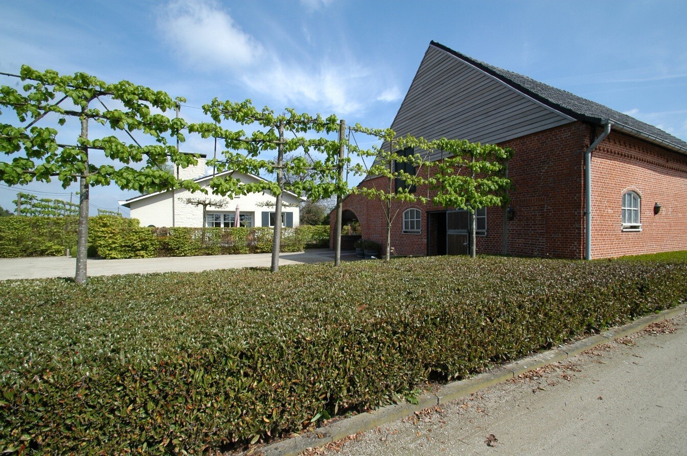 Woning met hippisch complex op 1,2ha te Ravels 