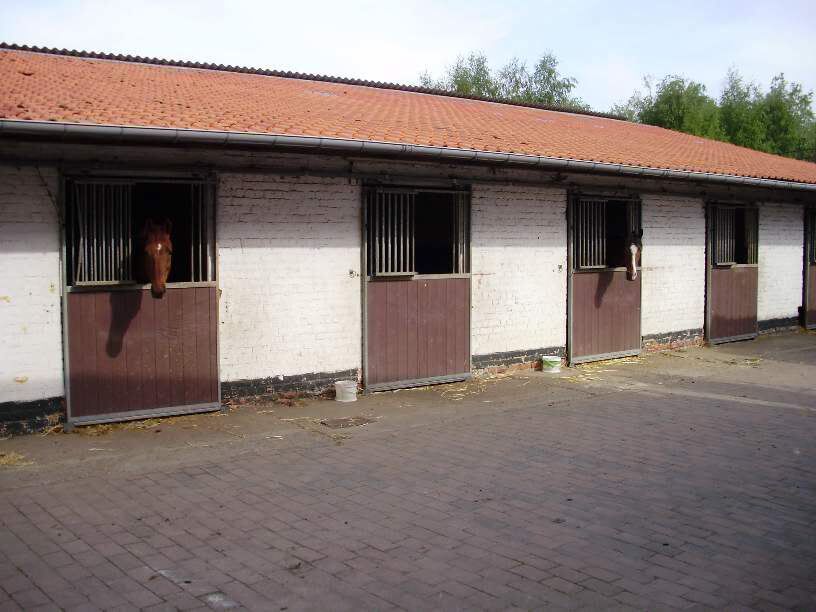 Hoeve met manegecomplex op ca. 2ha nabij Brussel 