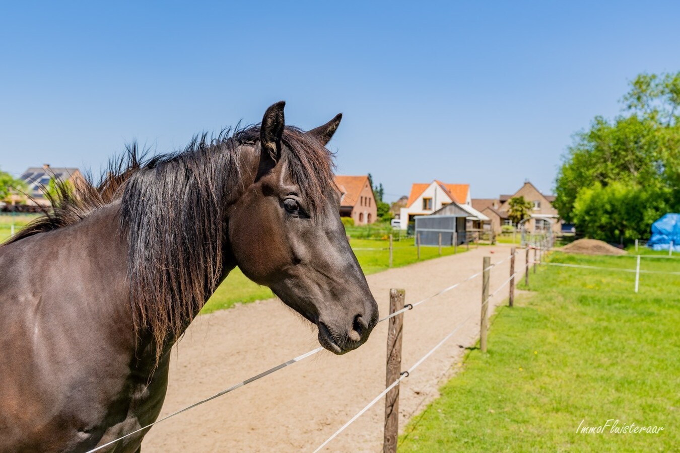 Aantrekkelijke villa met achterliggend weiland op ca. 66a te Zemst (Vlaams-Brabant) 