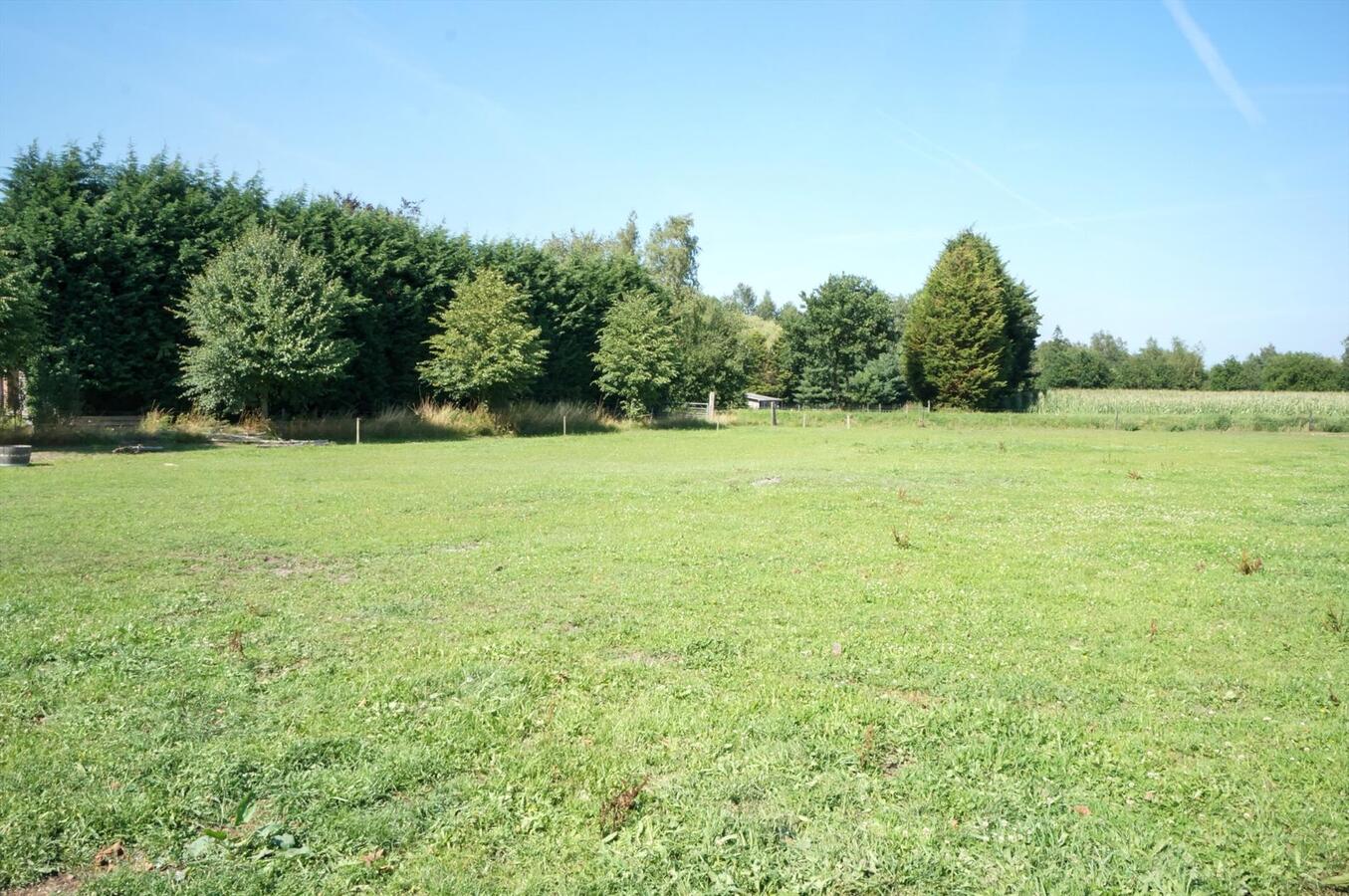 Farm sold in Merksplas