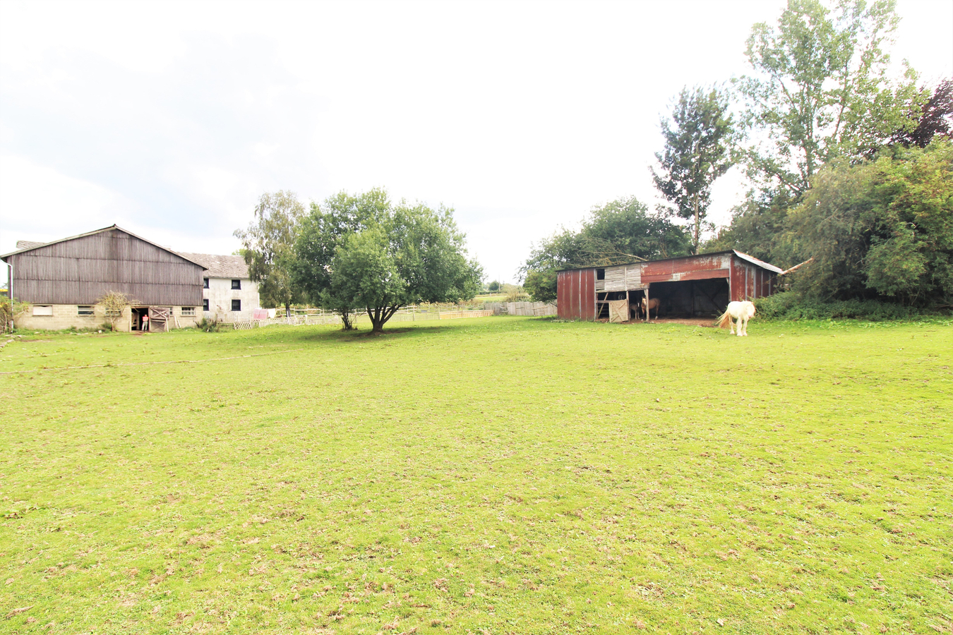 OPTION - Maison avec d&#233;pendances et pr&#233;s sur environ 1,64ha &#224; Ambl&#232;ve (Li&#232;ge) 