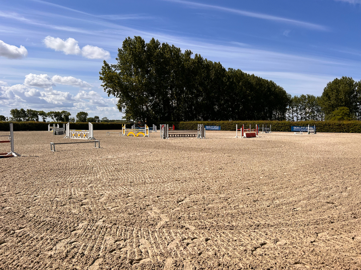 Unique opportunity -  professional breeding/sports stable on approx. 24 ha 