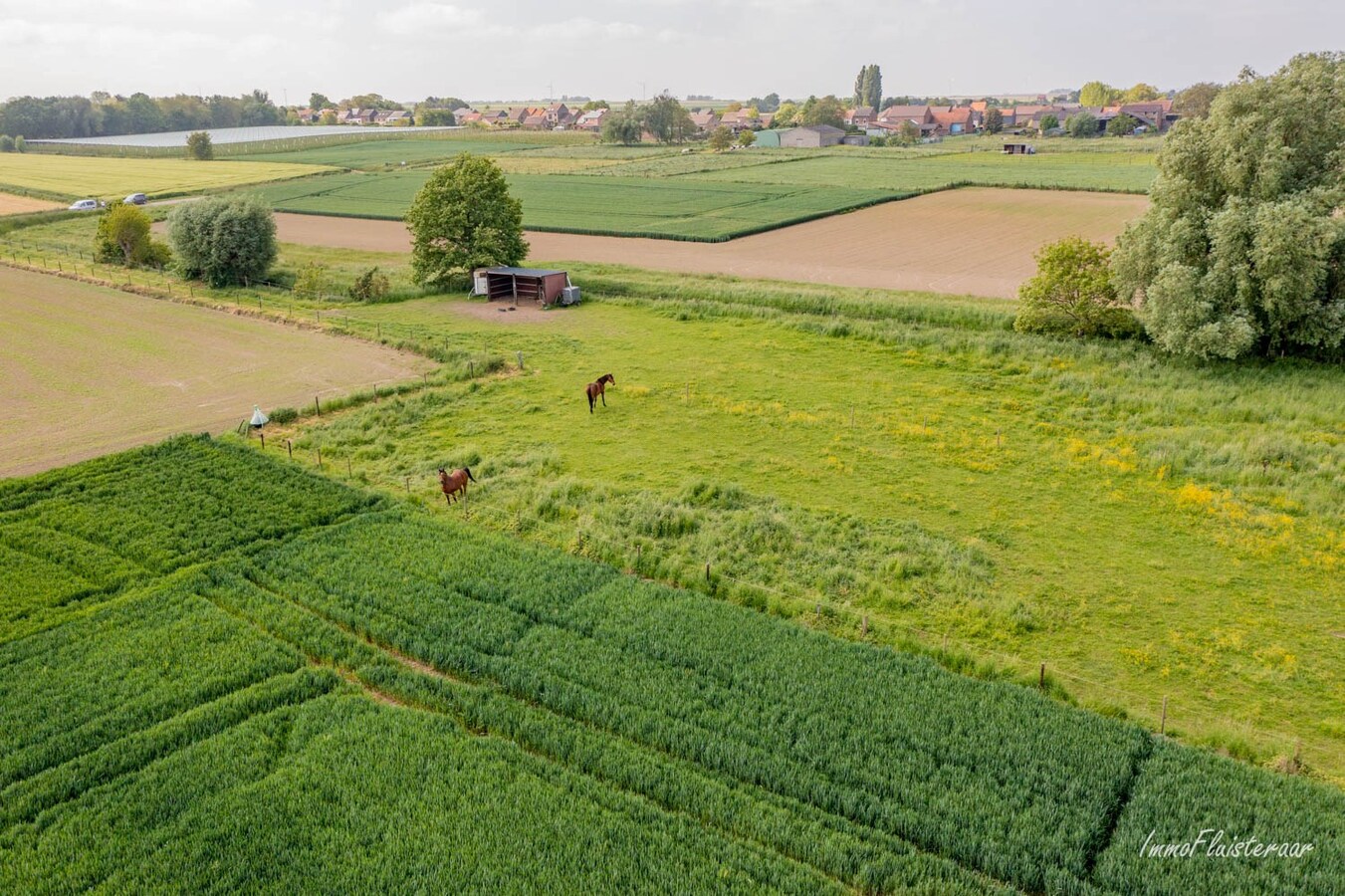 Prachtige woning met paardenaccommodatie op ca. 48a te Landen 