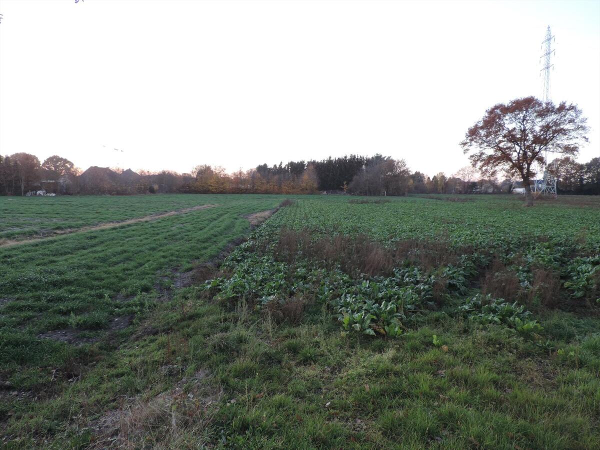 Farm sold in Hechtel-Eksel