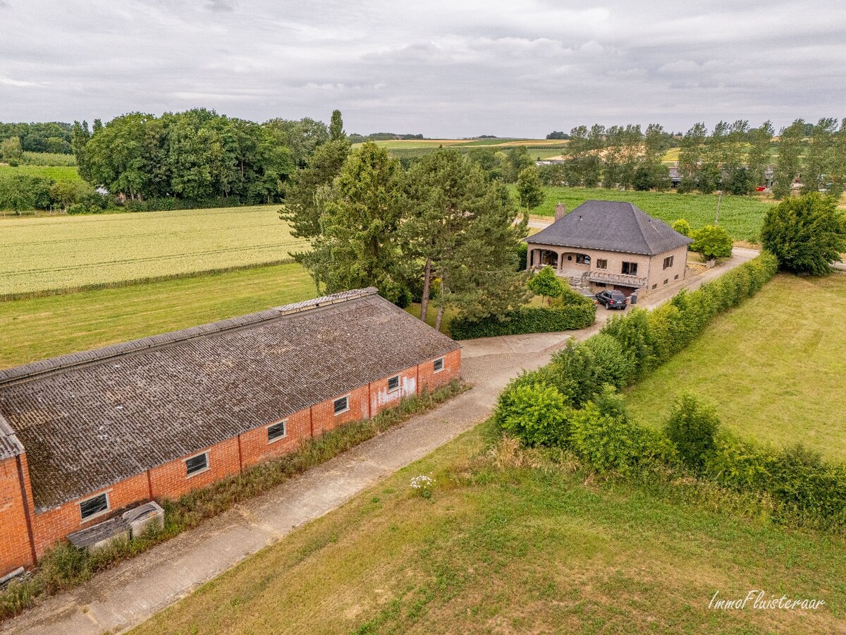 Maison situ&#233;e &#224; la campagne avec d&#233;pendances sur environ 4 hectares &#224; Bekkevoort (Brabant flamand) 