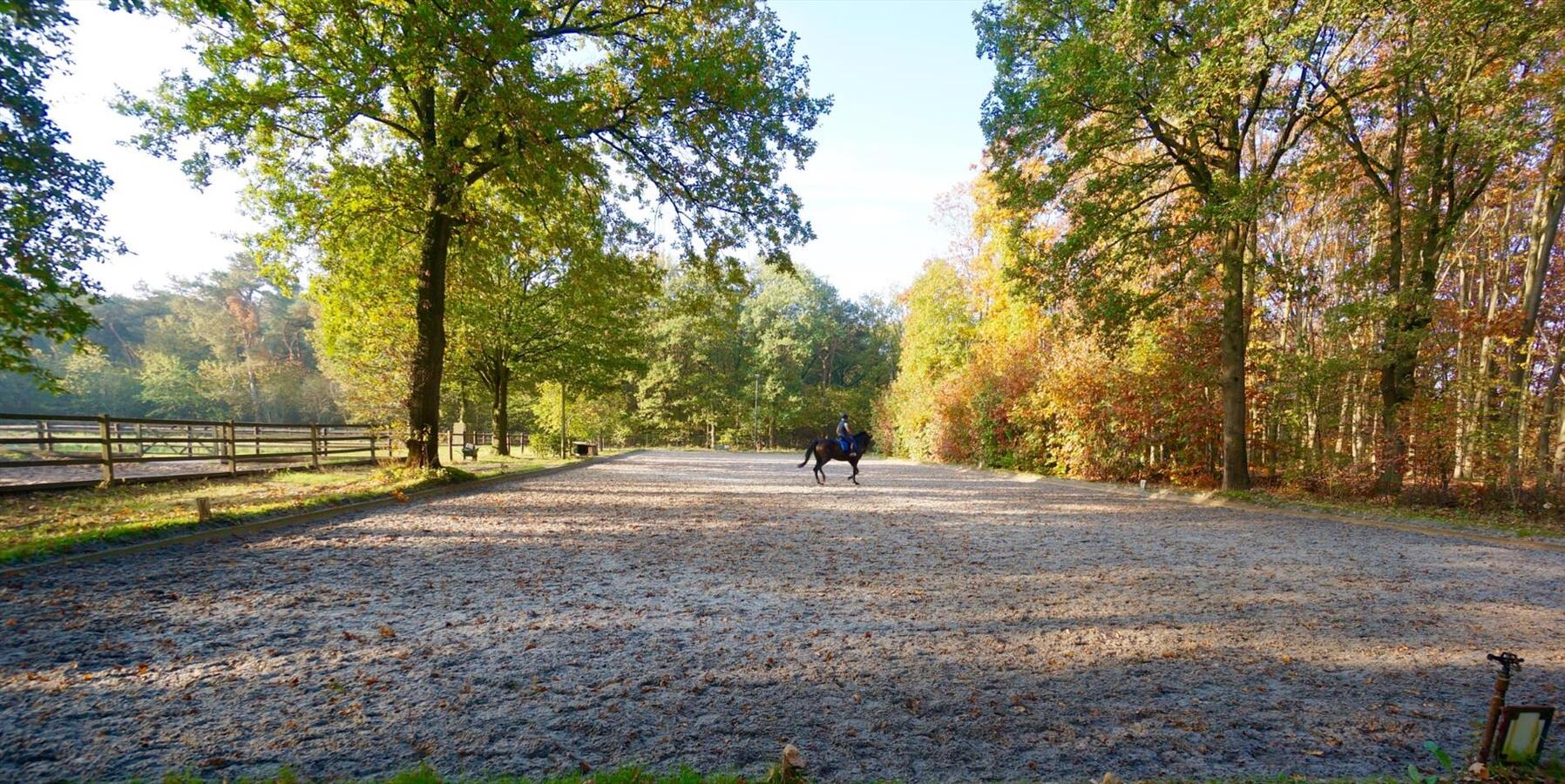 Hippisch complex op ca. 3,4ha te Nuenen (Noord-Brabant – NL) 