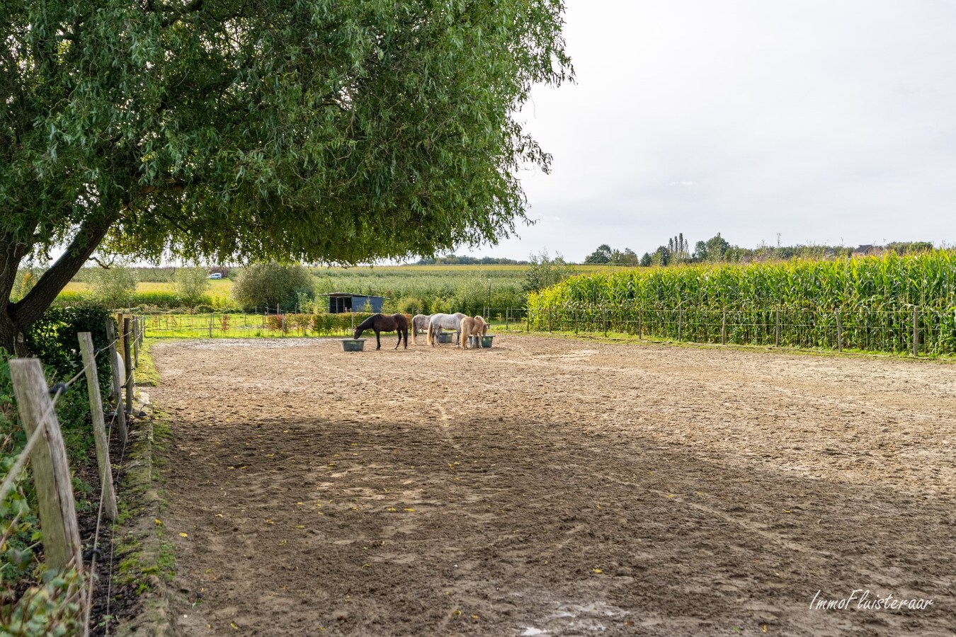 Charmante instapklare woning met paardenfaciliteiten op ca. 75a te Waanrode. 