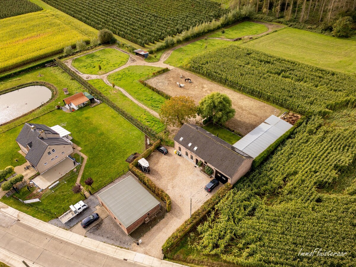 Charmante maison pr&#234;te &#224; emm&#233;nager avec des installations pour chevaux sur environ 75a &#224; Waanrode. 