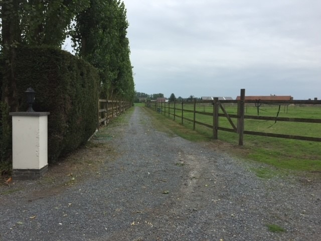 Idyllische hoeve op ca. 2,4ha met paardenstallen te Eernegem 