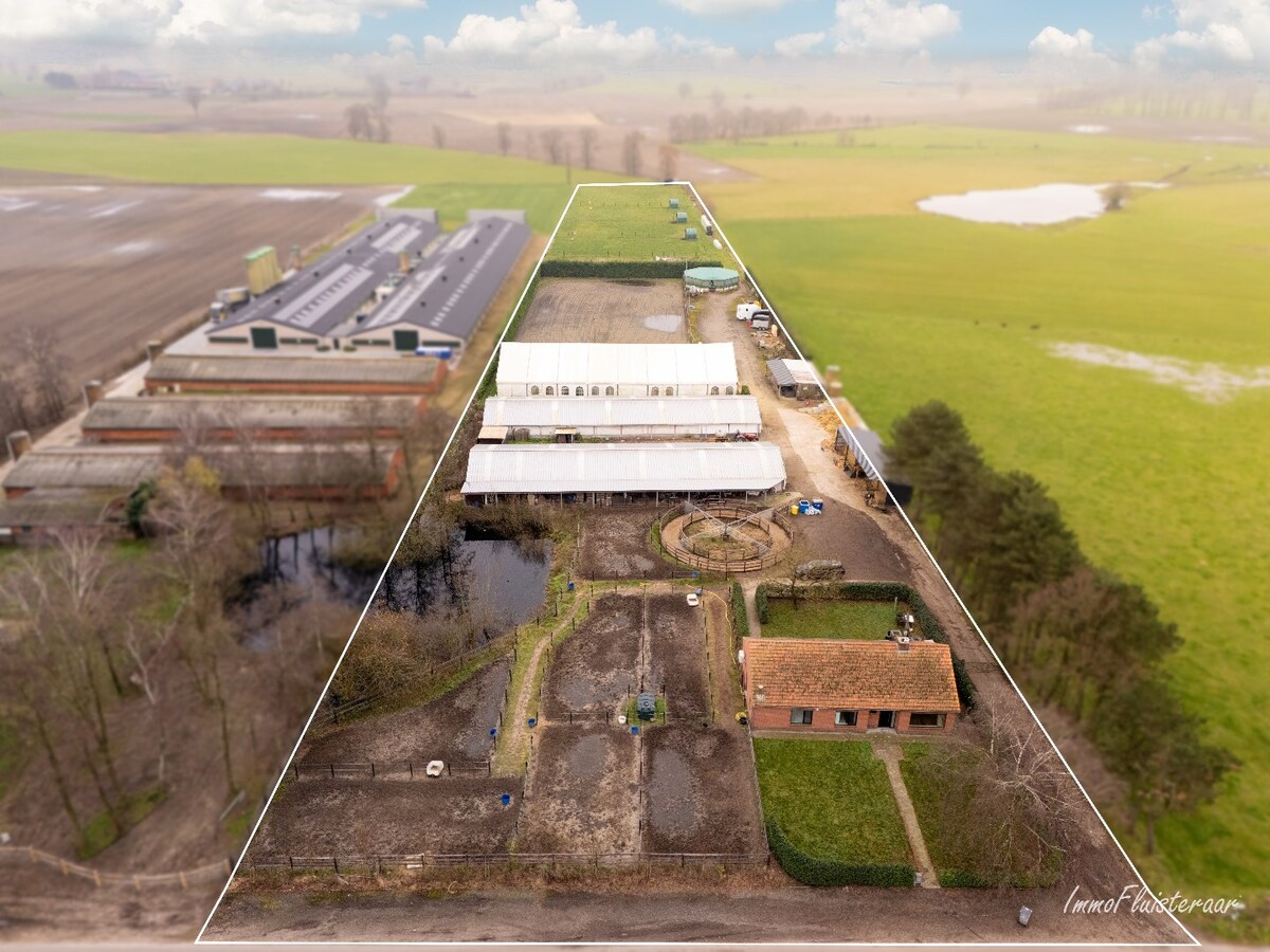 Hippisch complex op ca. 1,9 ha te Rijkevorsel Vergunning voor binnenpiste (60m x 30m) aanwezig! 