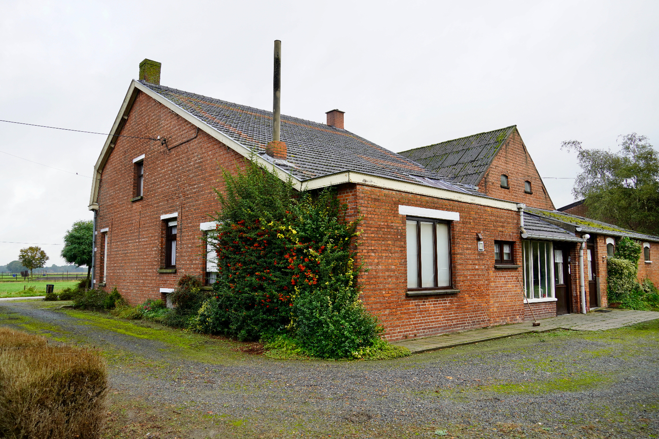 House to renovate with outbuildings and meadow on approximately 91a in Hoogstraten 