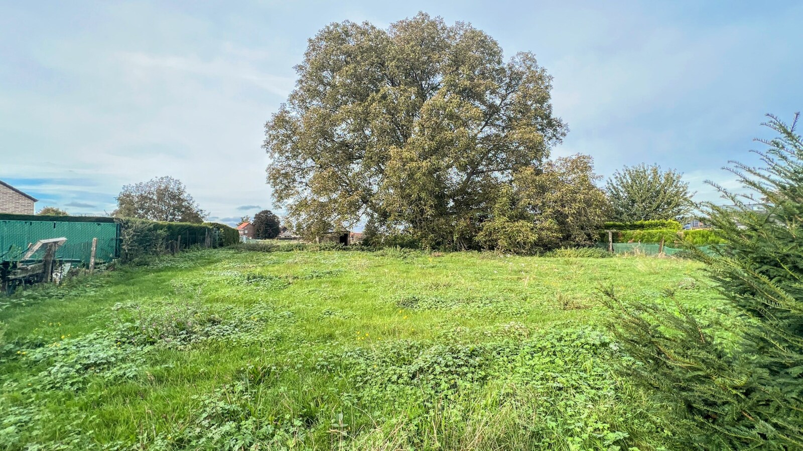 Deels gerenoveerde woning met zonnepanelen op perceel van 3168 m&#178; 