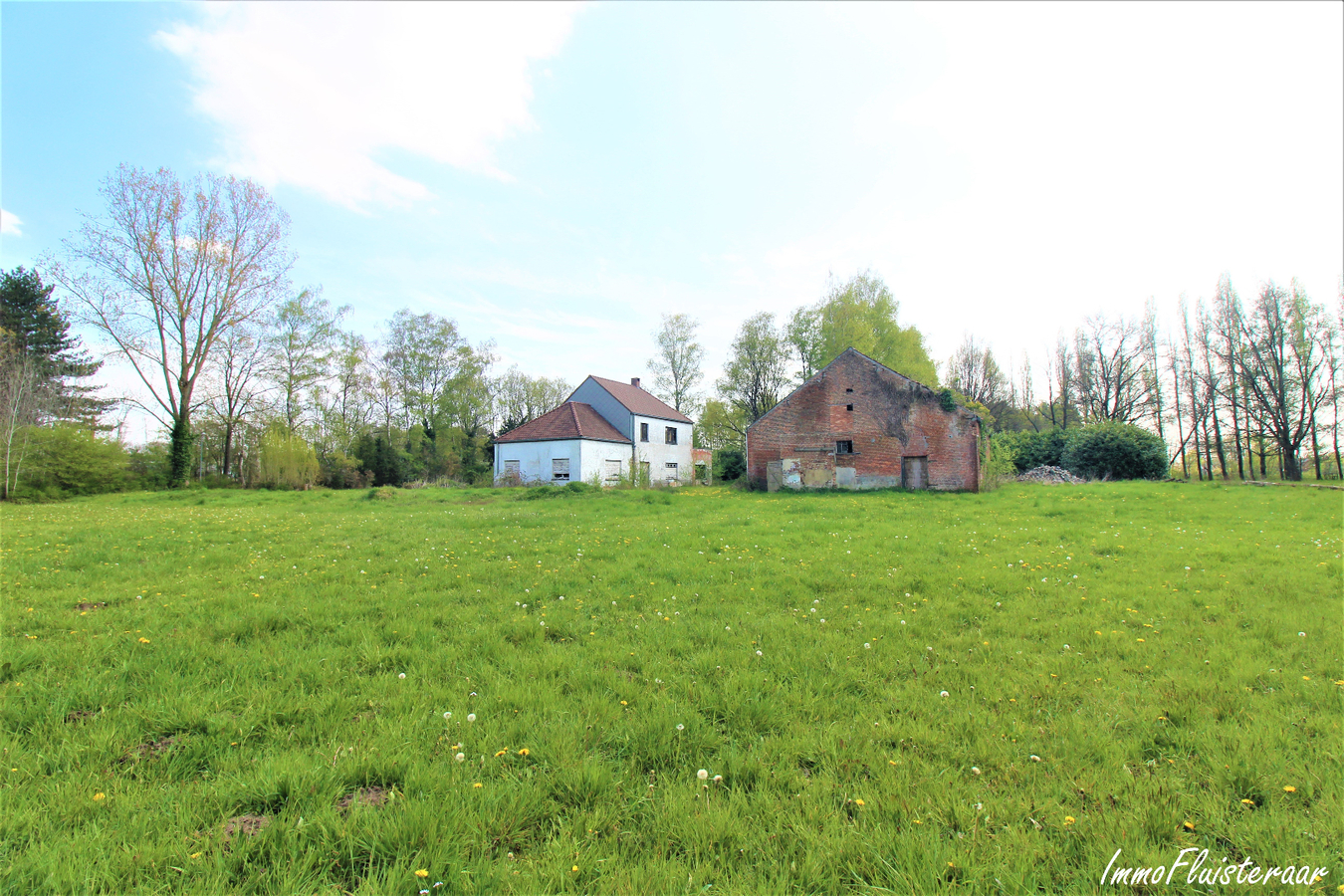 IN OPTIE - Te renoveren woning met stalgebouw/landgebouw en grond op ca. 4,20ha te Aarschot (Vlaams-Brabant) 