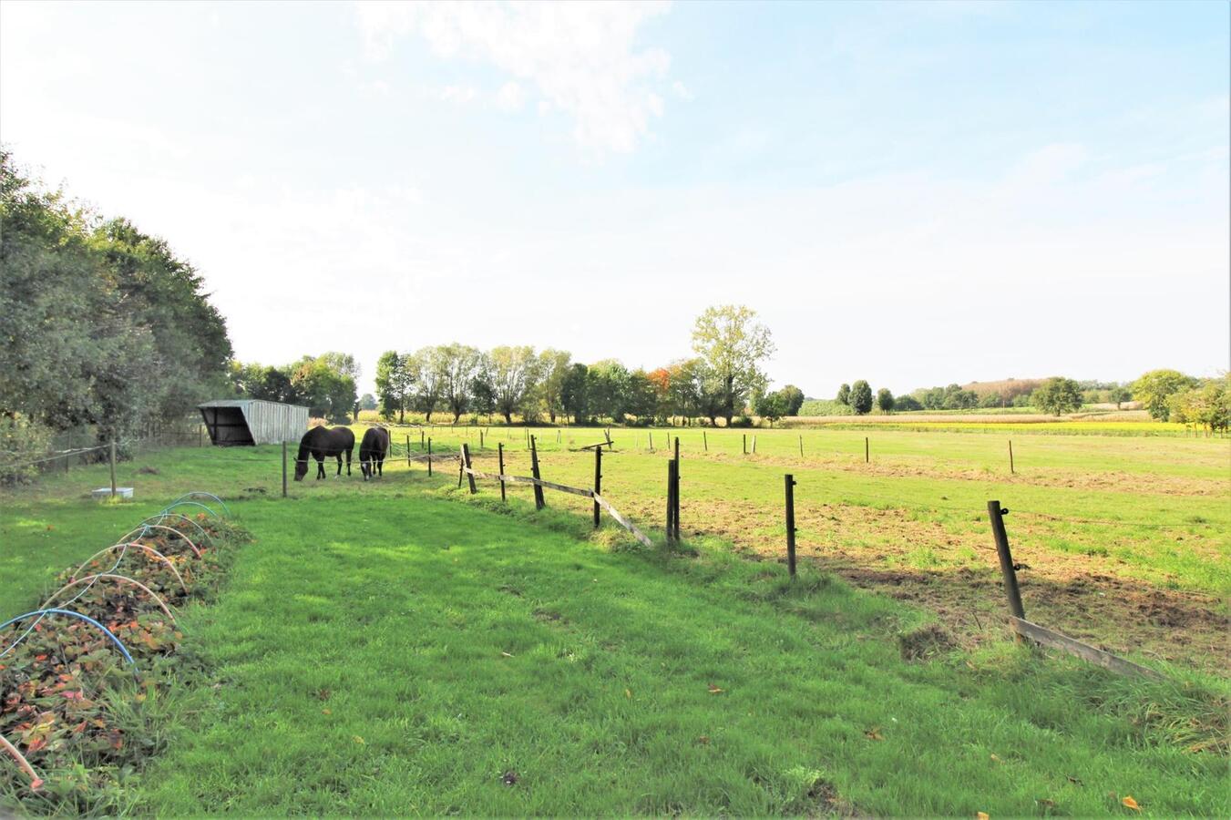 OPTIE - Te renoveren woning met verscheidene stalgebouwen , een loods, aanhorigheden en weilanden op ca. 2.6ha te Diest (Vlaams-Brabant) 