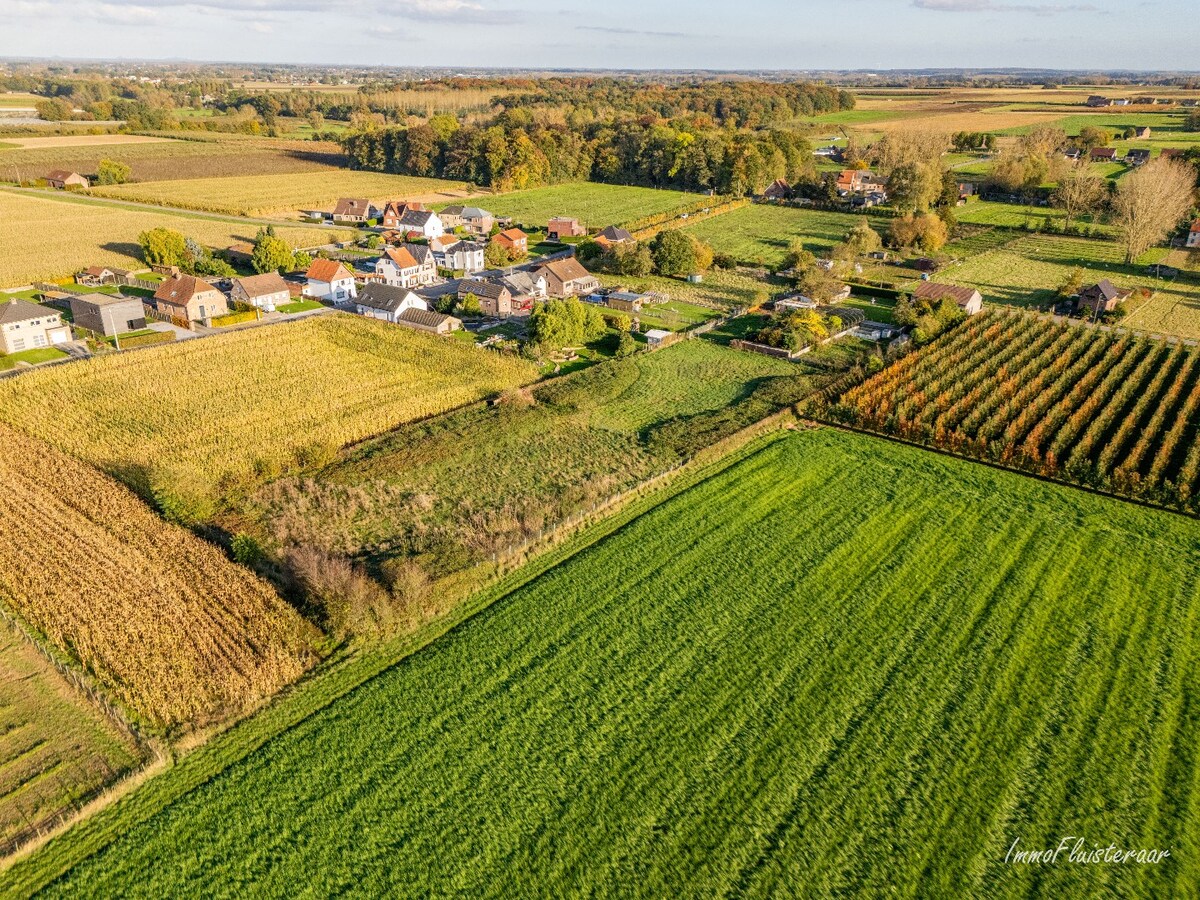 Charmante woning op een ruim perceel van ca. 78 are te Loksbergen (Halen) 