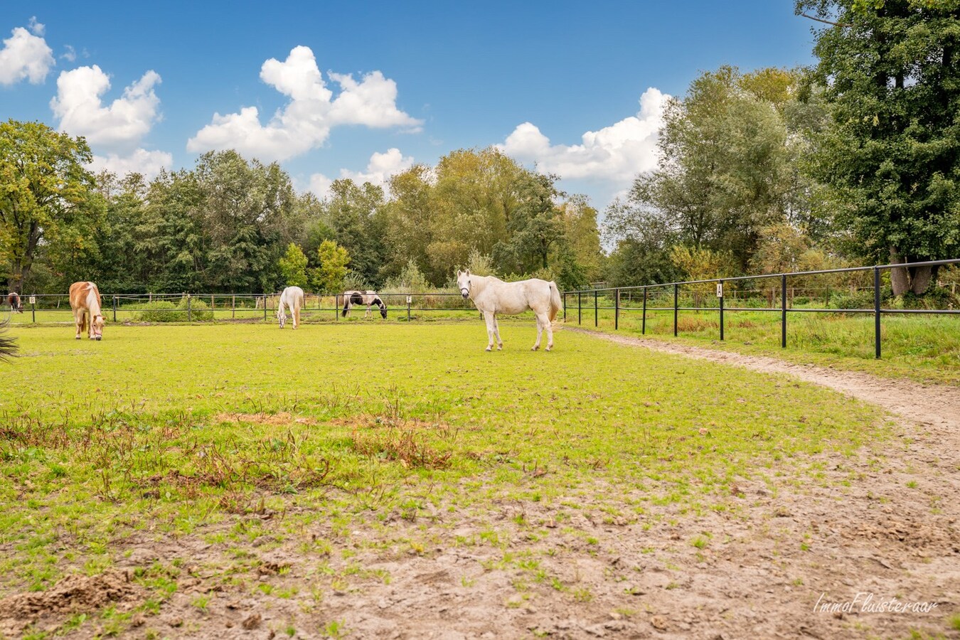 Unique horse accommodation with apartment and holiday home on a domain of approximately 3 hectares in a dream location! 