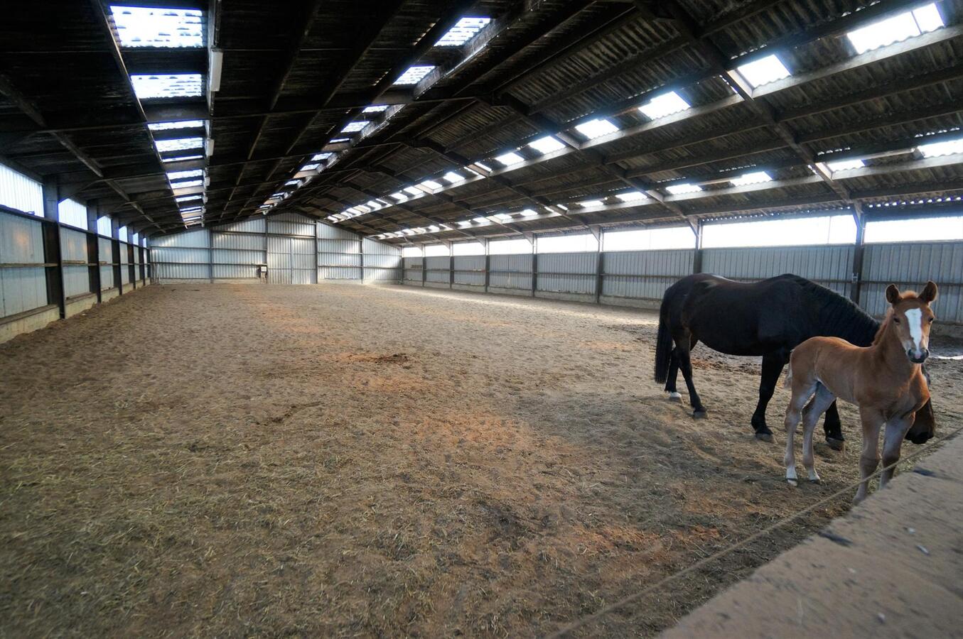 Hippisch complex op 2,6 ha te Loenhout (Wuustwezel) 