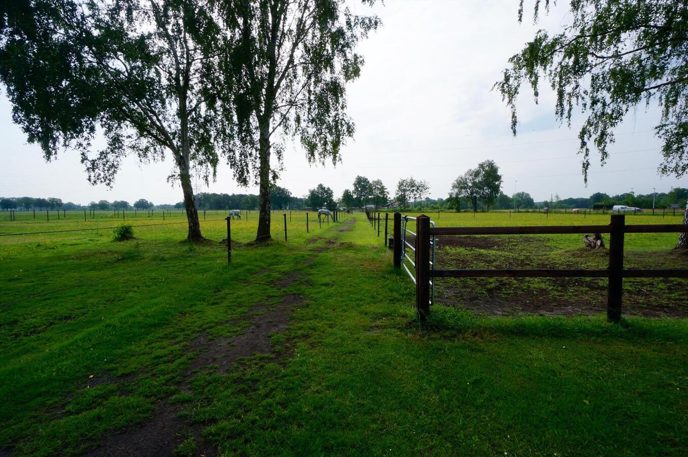 Gerenoveerde hoeve met paardenaccommodatie op ca. 3 ha te Balen 