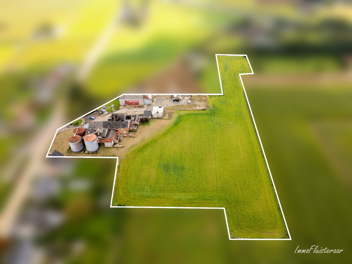 Charmante maison r&#233;nov&#233;e avec plusieurs d&#233;pendances sur environ 1,9 ha &#224; Bekkevoort. 