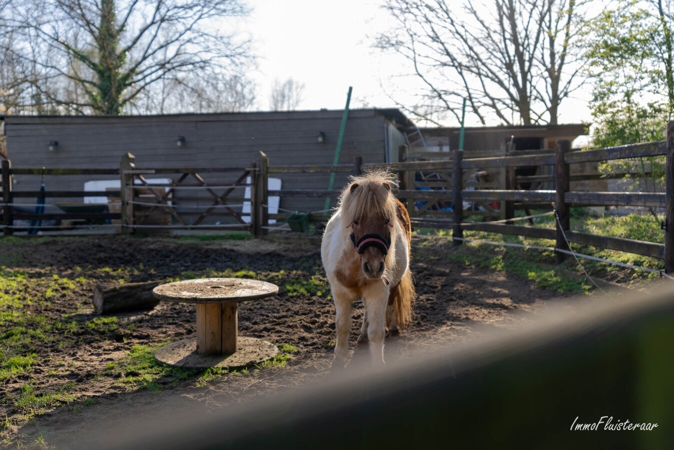 Gerenoveerde hoeve met stallen op ca. 1 hectare te Paal (Beringen) 