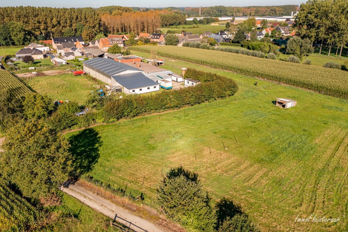 Paardenaccommodatie met binnenpiste op ca. 6ha te Wellen 