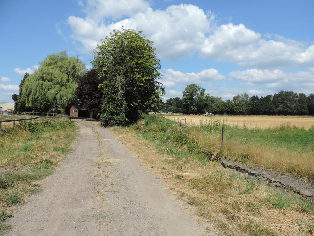 Te renoveren boerderij met paardenstallen op ca. 3ha te Bocholt 