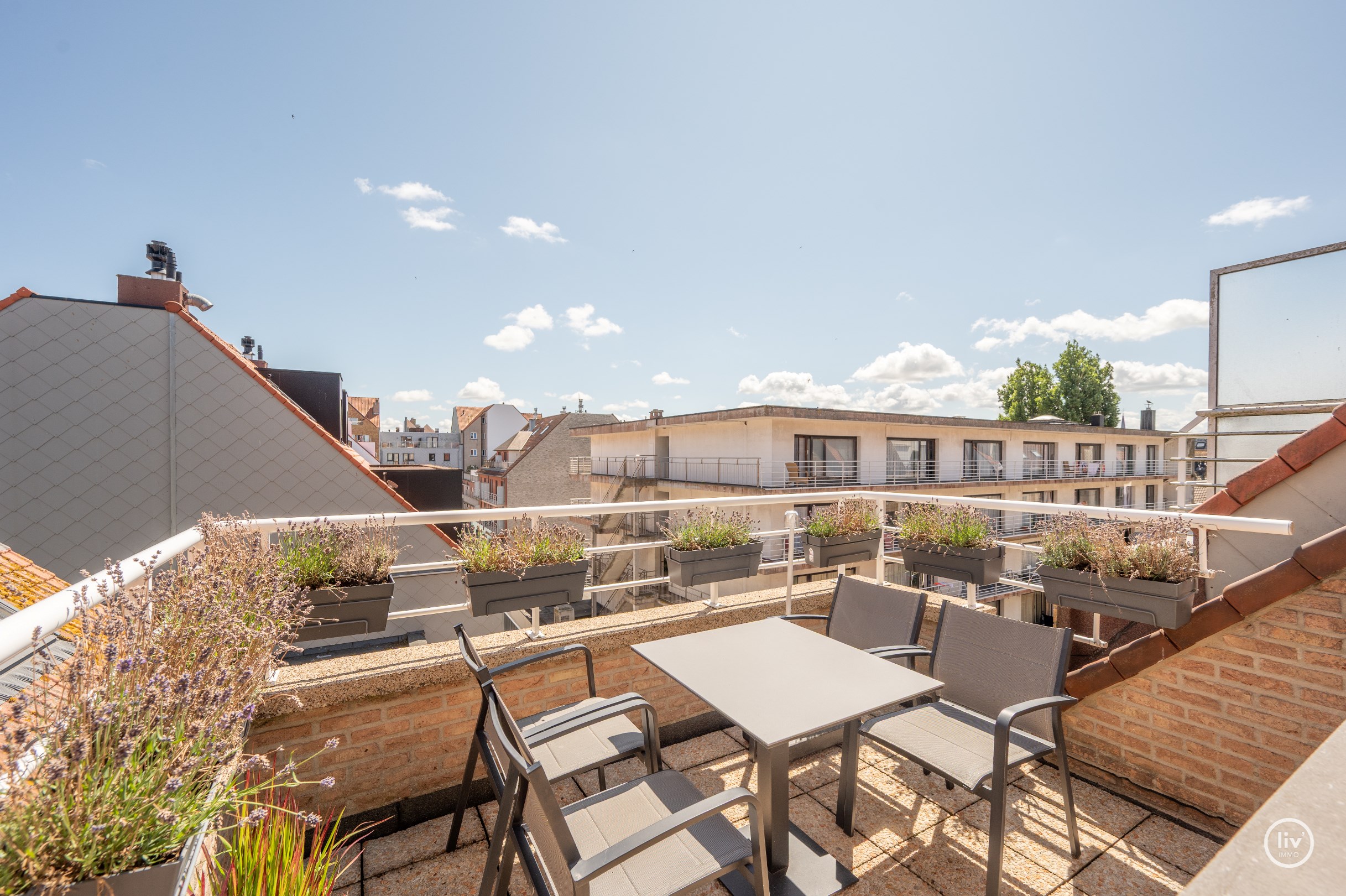 Appartement en duplex lumineux avec 2 grandes terrasses situ&#233; dans l&#39;avenue Paul Parmentier. 