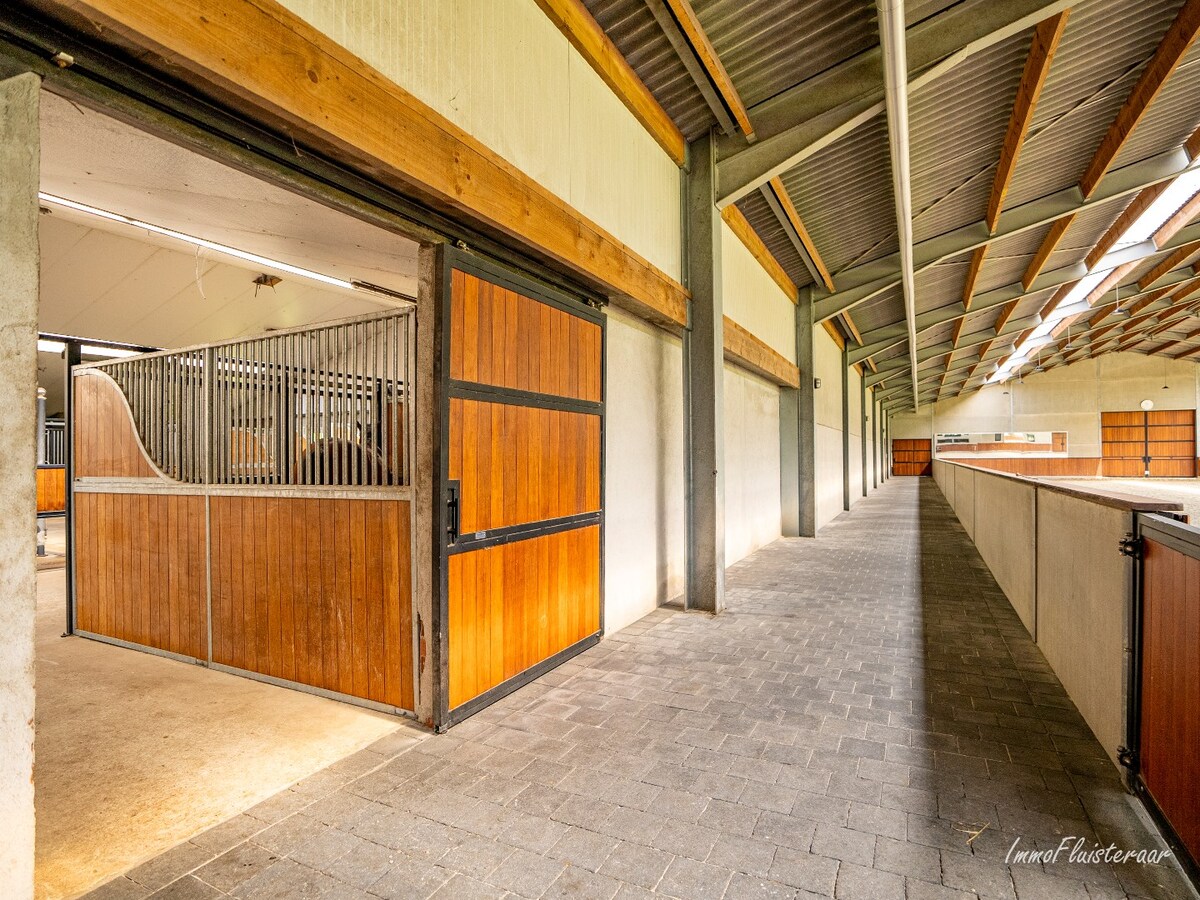 Prachtige hippische accommodatie op ca. 2,4 ha te Meerle/Hoogstraten 