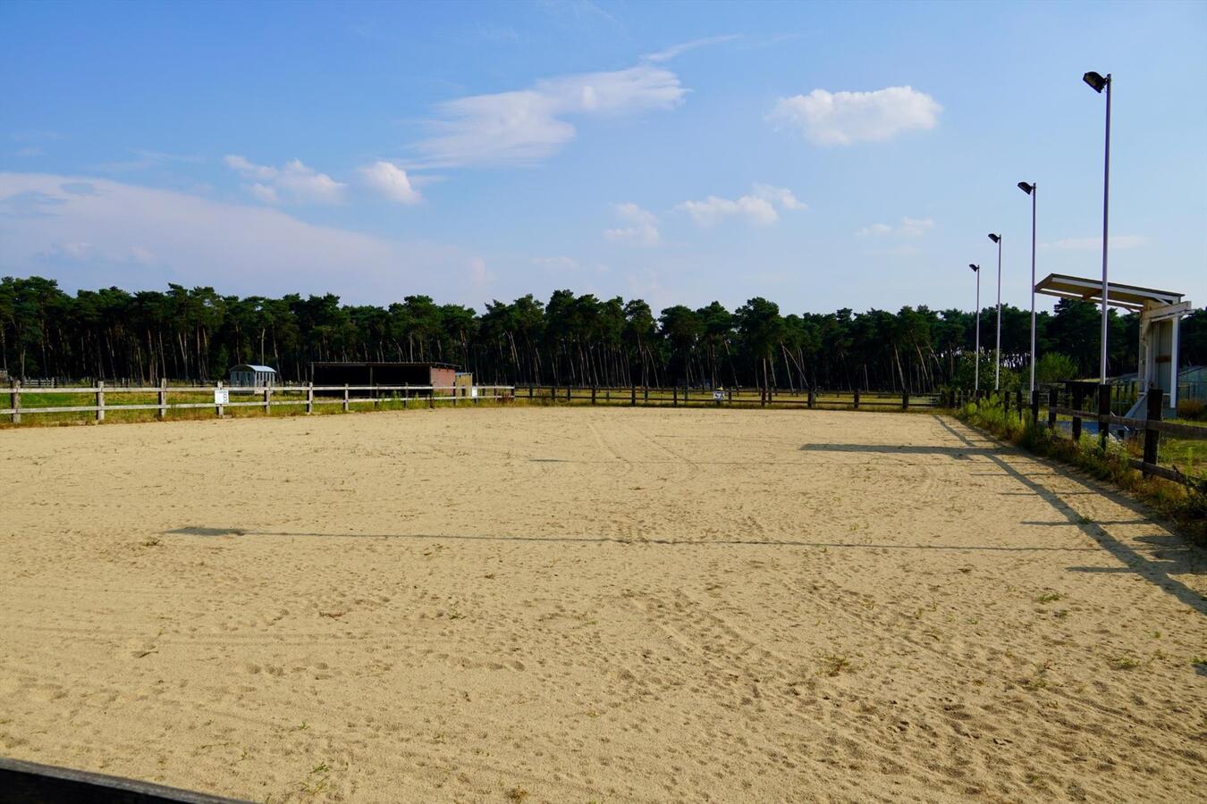 Gerenoveerde hoeve met paardenstallen en buitenpiste op ca. 1,6 ha te Vlimmeren 